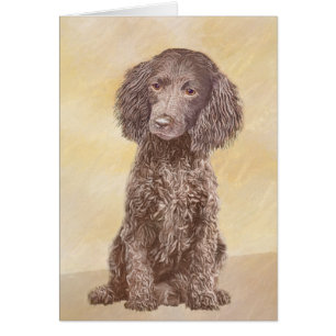 American Water Spaniel Painting - Original Dog Art