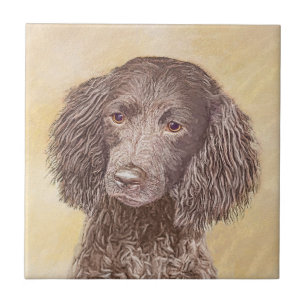 American Water Spaniel Painting - Original Dog Art Ceramic Tile