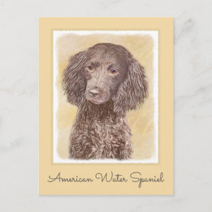 American Water Spaniel Painting - Original Dog Art Postcard