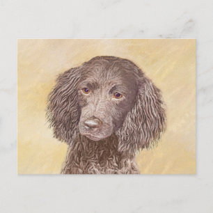 American Water Spaniel Painting - Original Dog Art Postcard