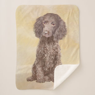 American Water Spaniel Painting - Original Dog Art Sherpa Blanket