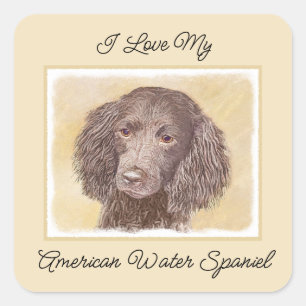 American Water Spaniel Painting - Original Dog Art Square Sticker
