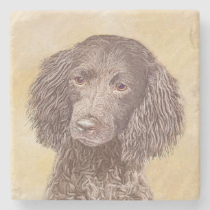 American Water Spaniel Painting - Original Dog Art Stone Coaster
