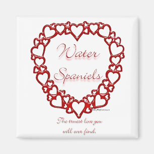 American Water Spaniel True Love Magnet
