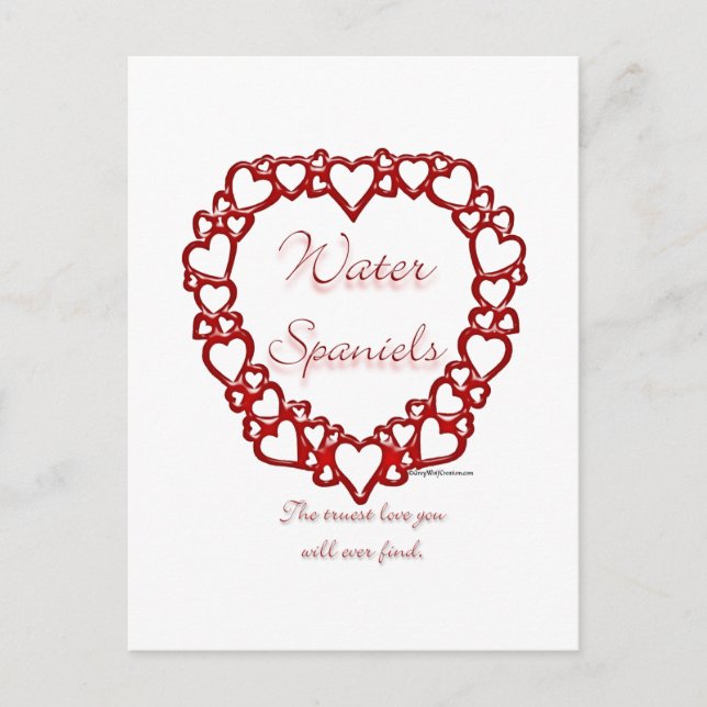 American Water Spaniel True Love Postcard (Front)