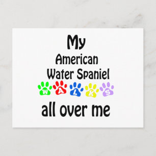 American Water Spaniel Walks Design Postcard