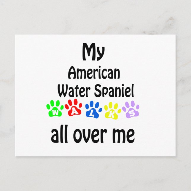 American Water Spaniel Walks Design Postcard (Front)