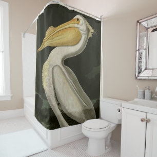 American White Pelican, Audubon's Birds of America Shower Curtain