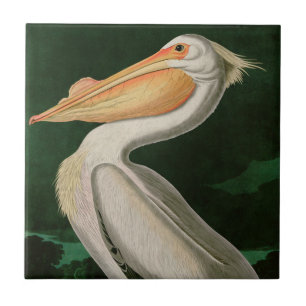 American White Pelican Birds of America Audubon Ceramic Tile