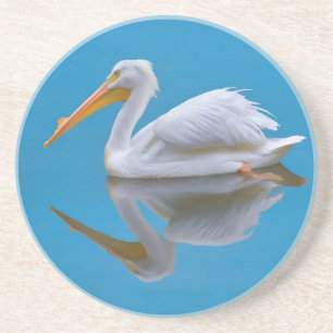 American White Pelican Coaster