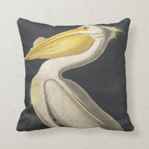 American White Pelican from Birds of America Cushion