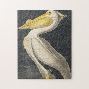 American White Pelican from Birds of America Jigsaw Puzzle