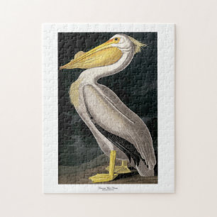 American White Pelican John James Audubon 11 x 14 Jigsaw Puzzle