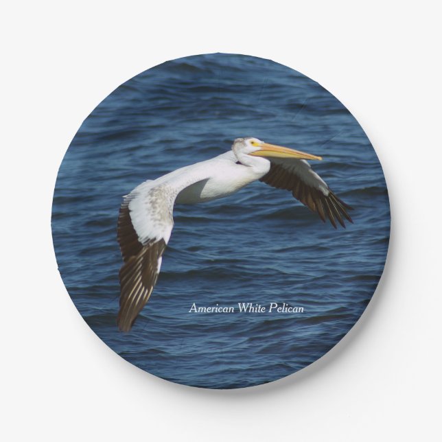 American White Pelican paper plate (Front)