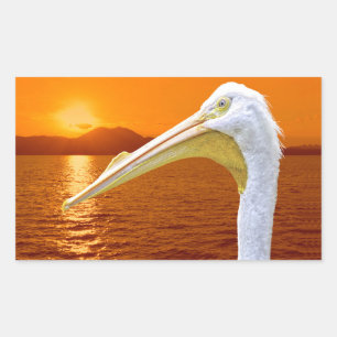 American White Pelican sunset in Corfu Rectangular Sticker