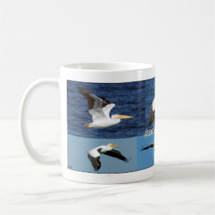 American White Pelicans mug