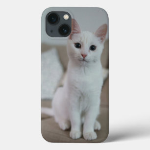 American white shorthair cat iPhone 13 case