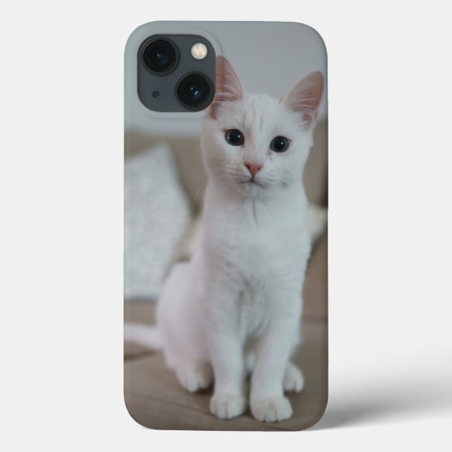 American white shorthair cat Case-Mate iPhone case (Back)