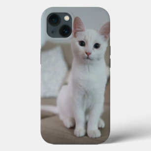 American white shorthair cat iPhone 13 case