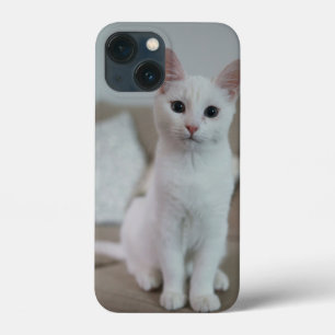 American white shorthair cat iPhone 13 mini case