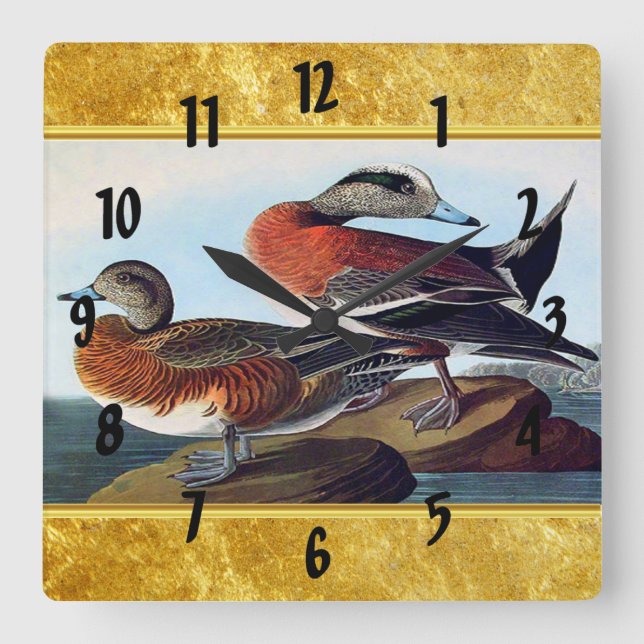 American Widgeon ducks on a rock Square Wall Clock (Front)