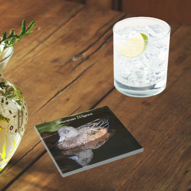 American Widgeon Wildlife Photo Glass Coaster (In Situ Glass)