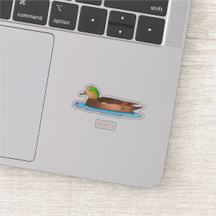 American wigeon bird cartoon illustration