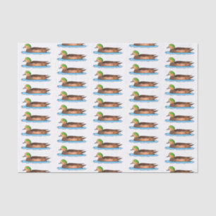 American wigeon bird cartoon illustration   tissue paper