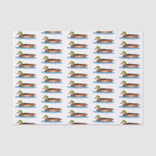 American wigeon bird cartoon illustration   tissue paper (Front)