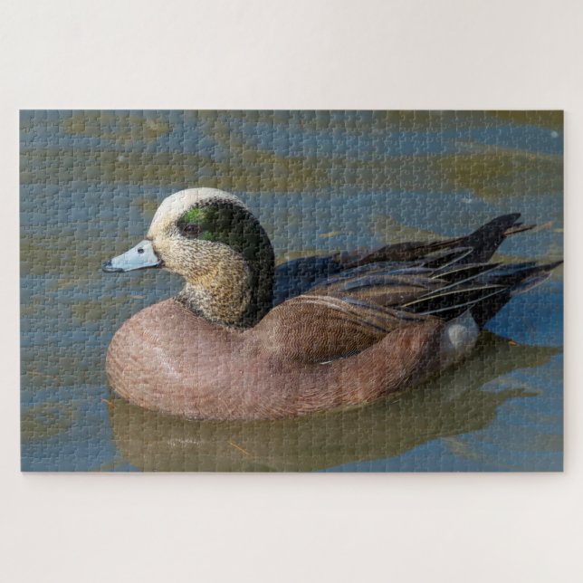 American Wigeon Jigsaw Puzzle (Horizontal)
