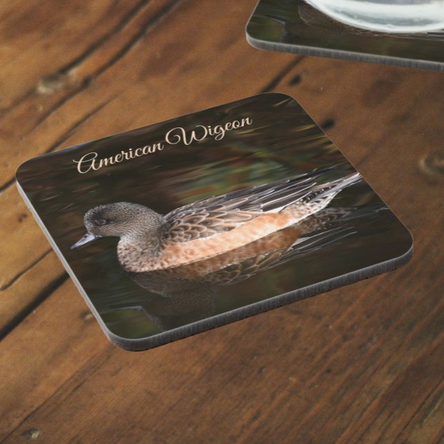 American Wigeon on Pond Wildlife Photo Coaster (In Situ Angled)