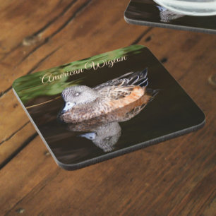 American Wigeon Wildlife Photo Coaster