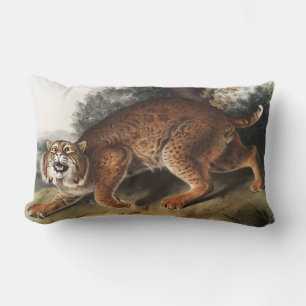 American wild cat (Lynx rufus) Illustration Lumbar Cushion