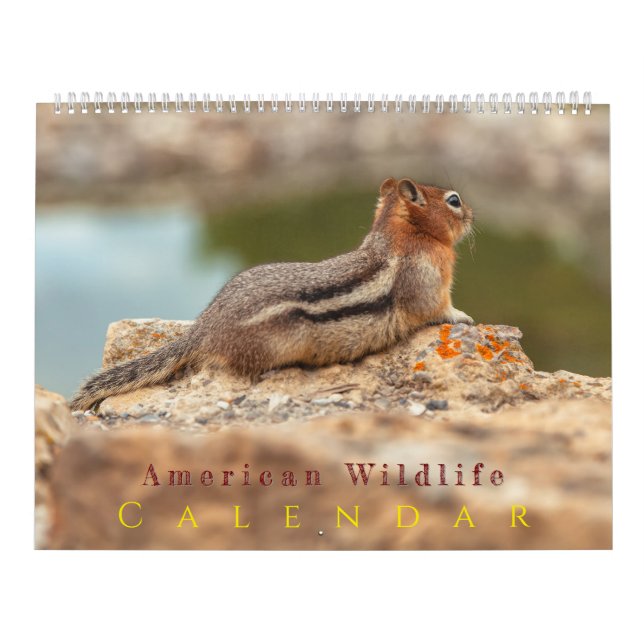 American Wildlife Calendar (Cover)