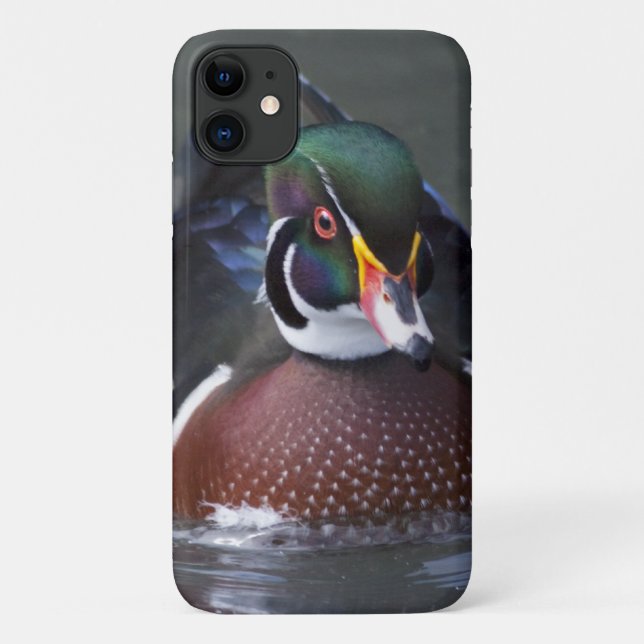 American Wood Duck iPhone 11 Case (Back)