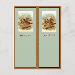 American Woodcock Bookmark Postcard