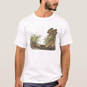 American Woodcock by Audubon T-Shirt