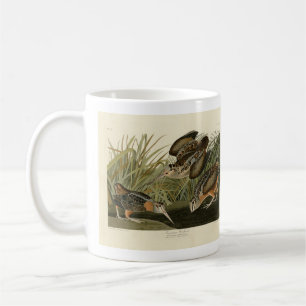 American Woodcock from Audubon's Birds of America Coffee Mug