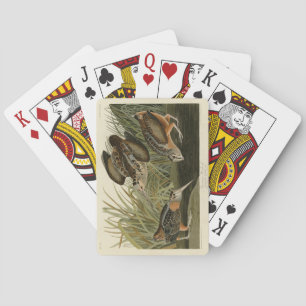 American Woodcock from Audubon's Birds of America Playing Cards