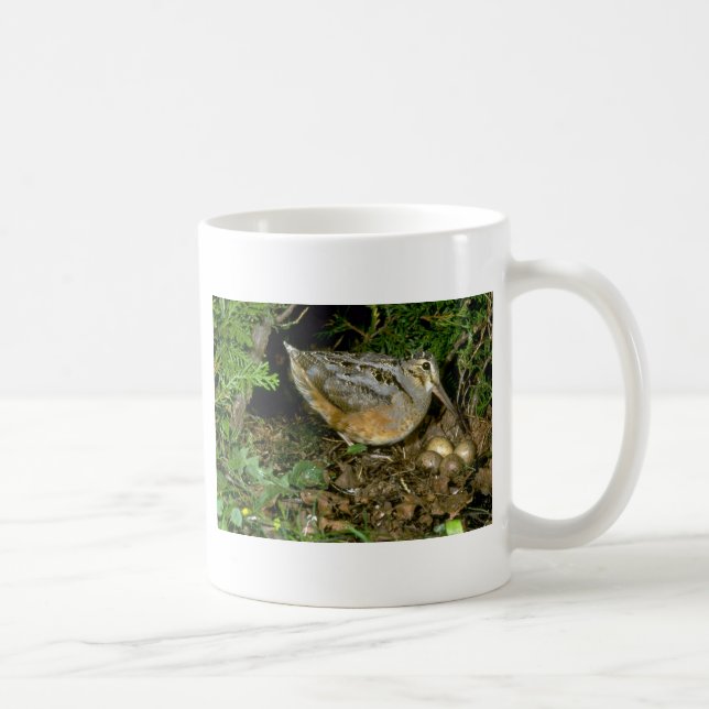 American Woodcock with eggs Coffee Mug (Right)