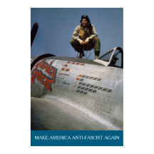 American WWII Pilot MAAFA