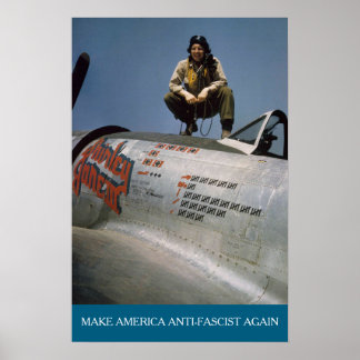 American WWII Pilot MAAFA Poster