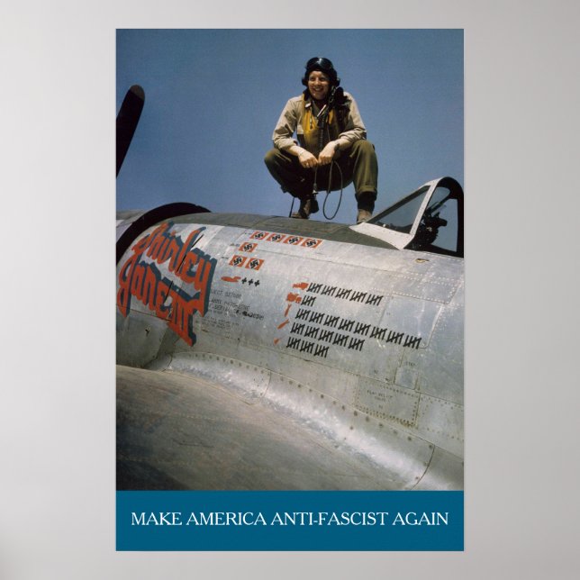 American WWII Pilot MAAFA  Poster (Front)