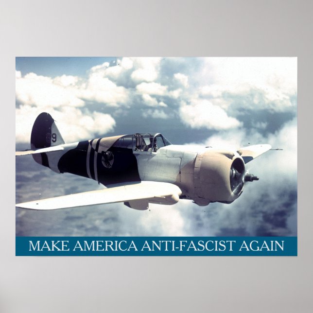 American WWII Plane MAAFA Poster (Front)