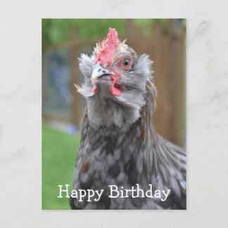 Americana Rooster Happy Birthday Postcard