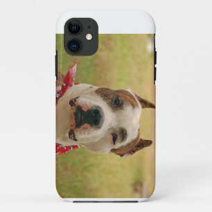 AmericanStafforshireTerrier 2.png iPhone 11 Case