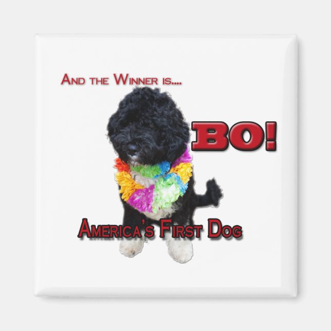 AMERICA'S FIRST DOG:  BO MAGNET (Front)