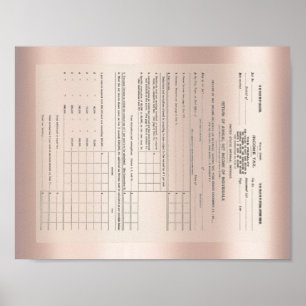 America's First Income Tax Form 1040 Rose Gold Poster