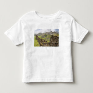 Americas, Peru, Machu PIcchu. The ancient Toddler T-Shirt