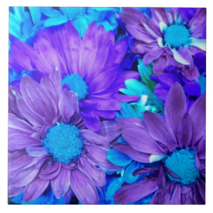 Amethyst Purple and Turquoise Blue Daisies Ceramic Tile